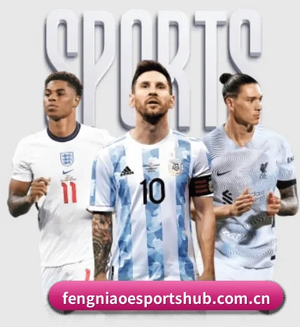 平台简介 - 体育资讯内容服务 | Fengniao Esports